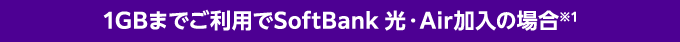 1GBまでご利用でSoftBank 光・Air加入の場合※1